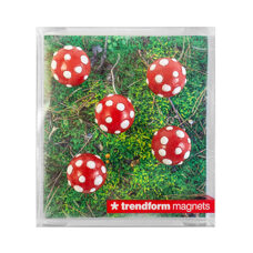 Magnet Fliegenpilz