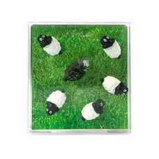 Magnet Schaf 