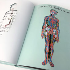 Anatomie
Das faszinierende Innenleben des Menschen.