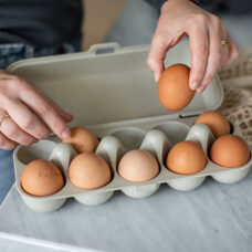 Egg box sand
10s