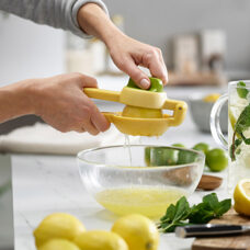 Zitronenpresse
JuiceMax 