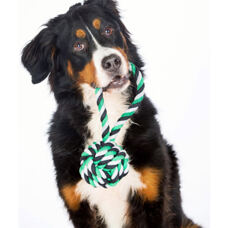 Hundetoy Schleuderball
grün/schwarz