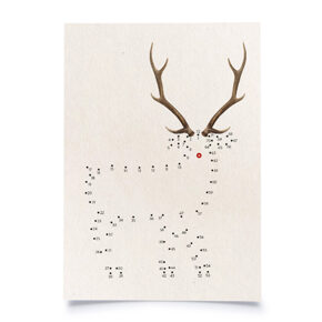Postkarte 
Rentier 