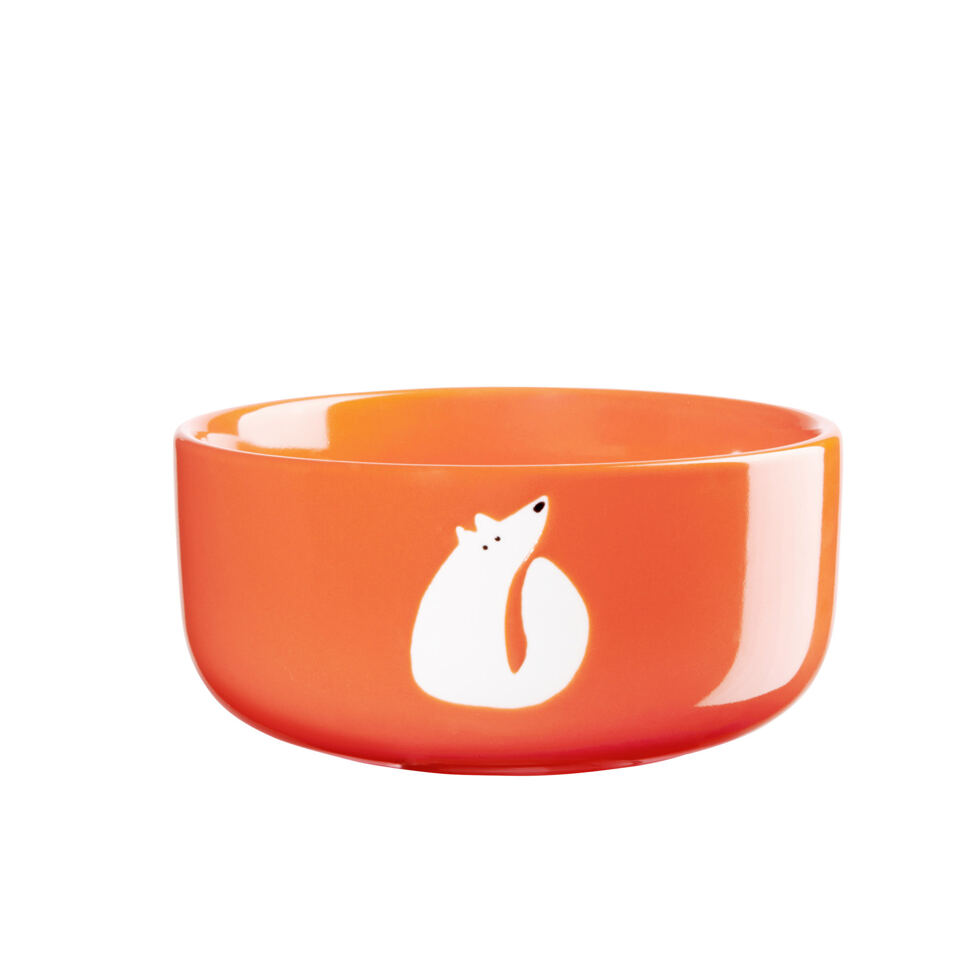 Bol orange,
Renard 