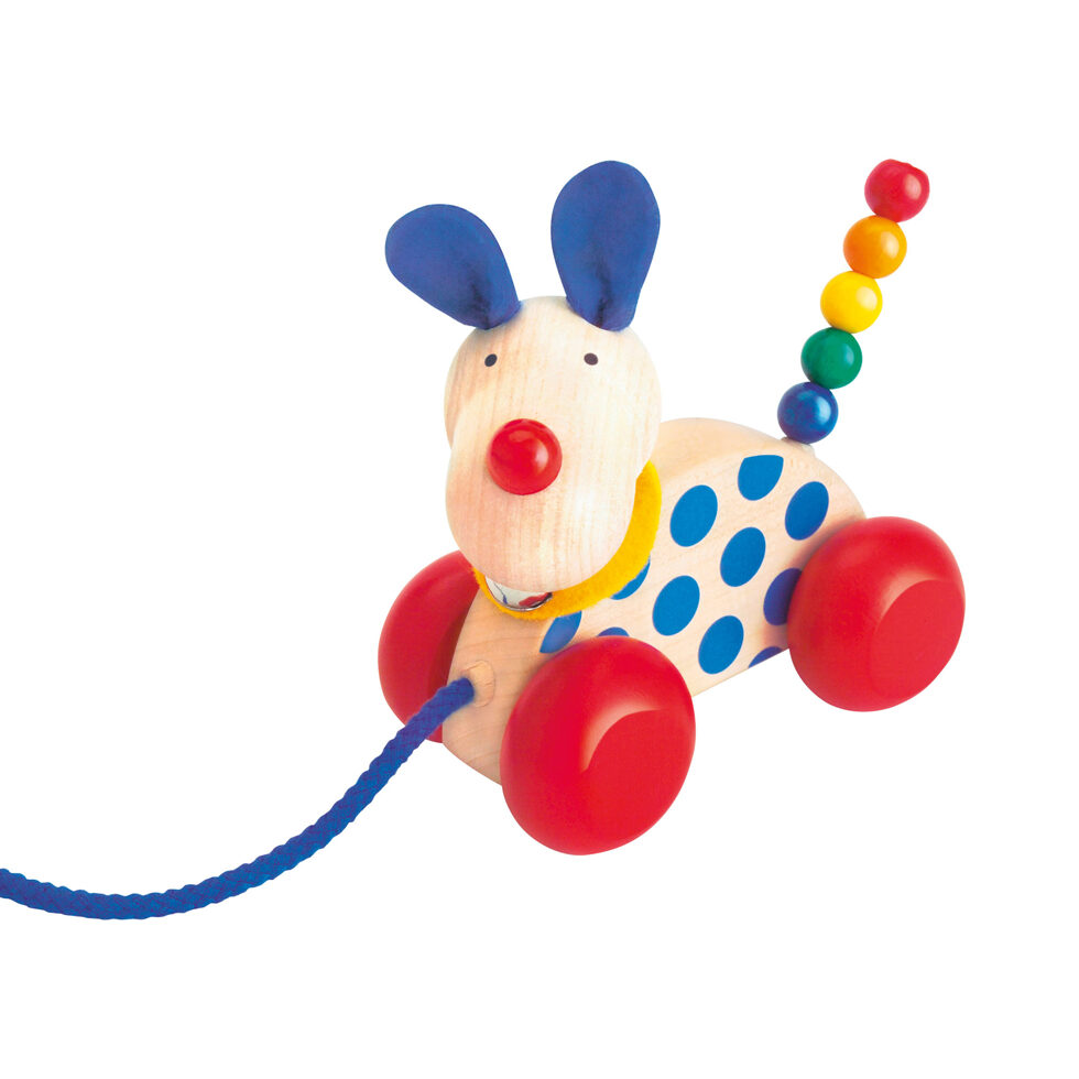 Ziehtier
Hund Nico 