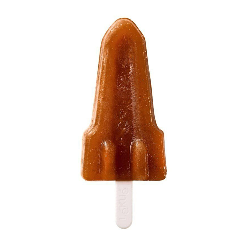 Rocket on a stick 