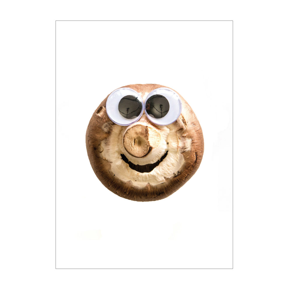 Postkarte "Pilz" 