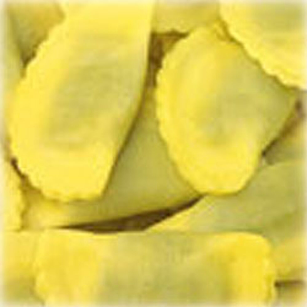 Maultaschenform mit Rezepten 3er Set 